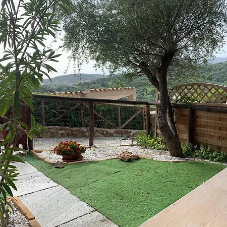 La Di Kelly * 시미우스